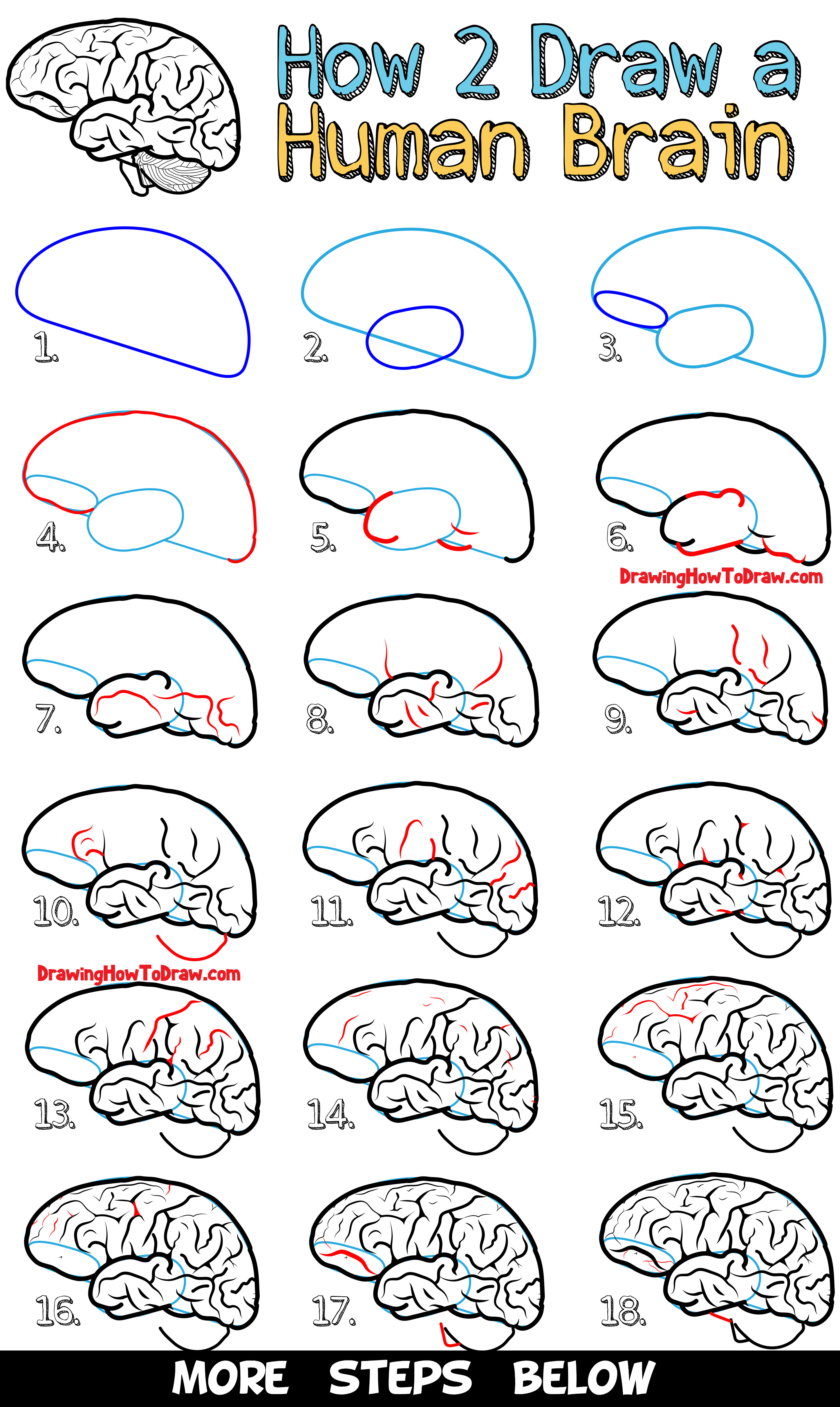 2895x4845 How To Draw A Human Brain - Easy Human Drawing