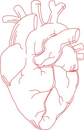 288x445 Art Inspiration - Easy Human Heart Drawing