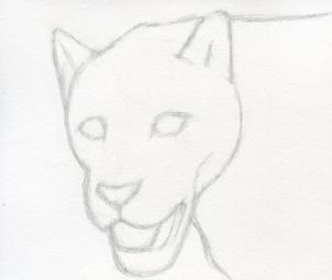 302x255 how to draw a realistic jaguar, step - Easy Jaguar Drawing