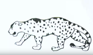 300x179 how to draw a jaguar easy step - Easy Jaguar Drawing