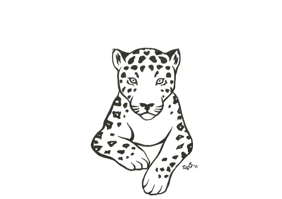 Easy Jaguar Drawing at Explore collection of Easy