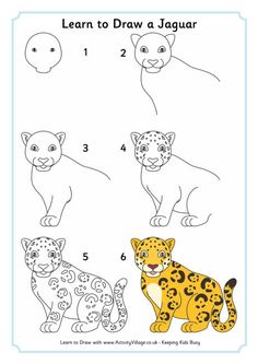 236x333 how to draw simple learn how to draw a jaguar with simple step - Easy Jaguar Drawing