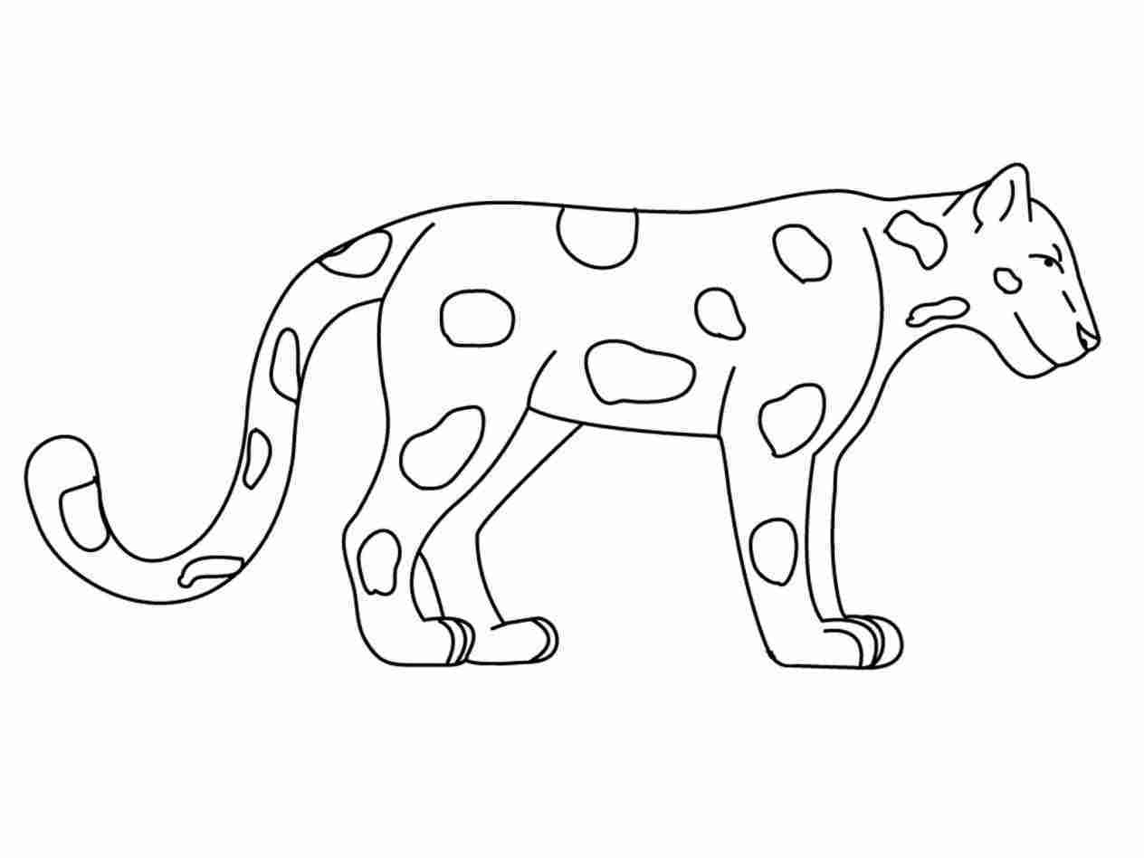 1264x948 jungle scenery drawing easy - Easy Jungle Drawing