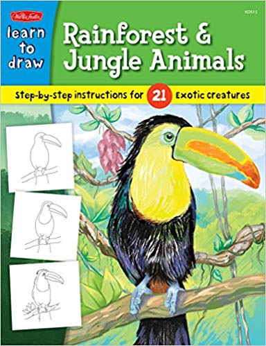 384x499 Learn To Draw Rainforest Jungle Animals Step - Easy Jungle Drawing