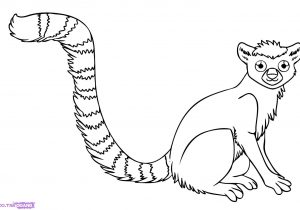 300x210 easy jungle drawing with animals - Easy Jungle Drawing