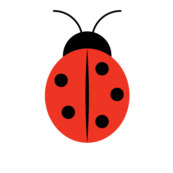 Simple Ladybird Drawing