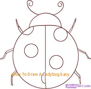 302x296 how to draw a ladybug easy drawing printout how to draw a ladybug - Easy Ladybug Drawing