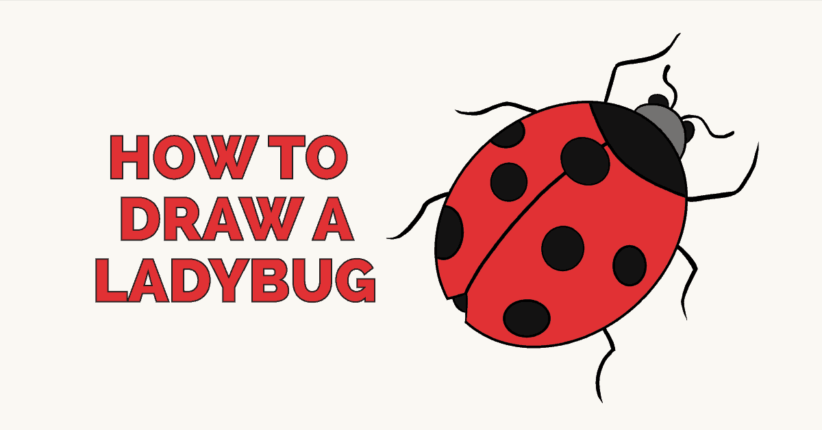 1200x628 How To Draw A Ladybug - Easy Ladybug Drawing