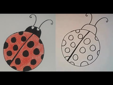 480x360 How To Draw A Ladybug Easy Drawing For Kids Step - Easy Ladybug Drawing