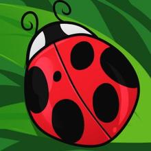 220x220 How To Draw How To Draw A Ladybug For Kids - Easy Ladybug Drawing