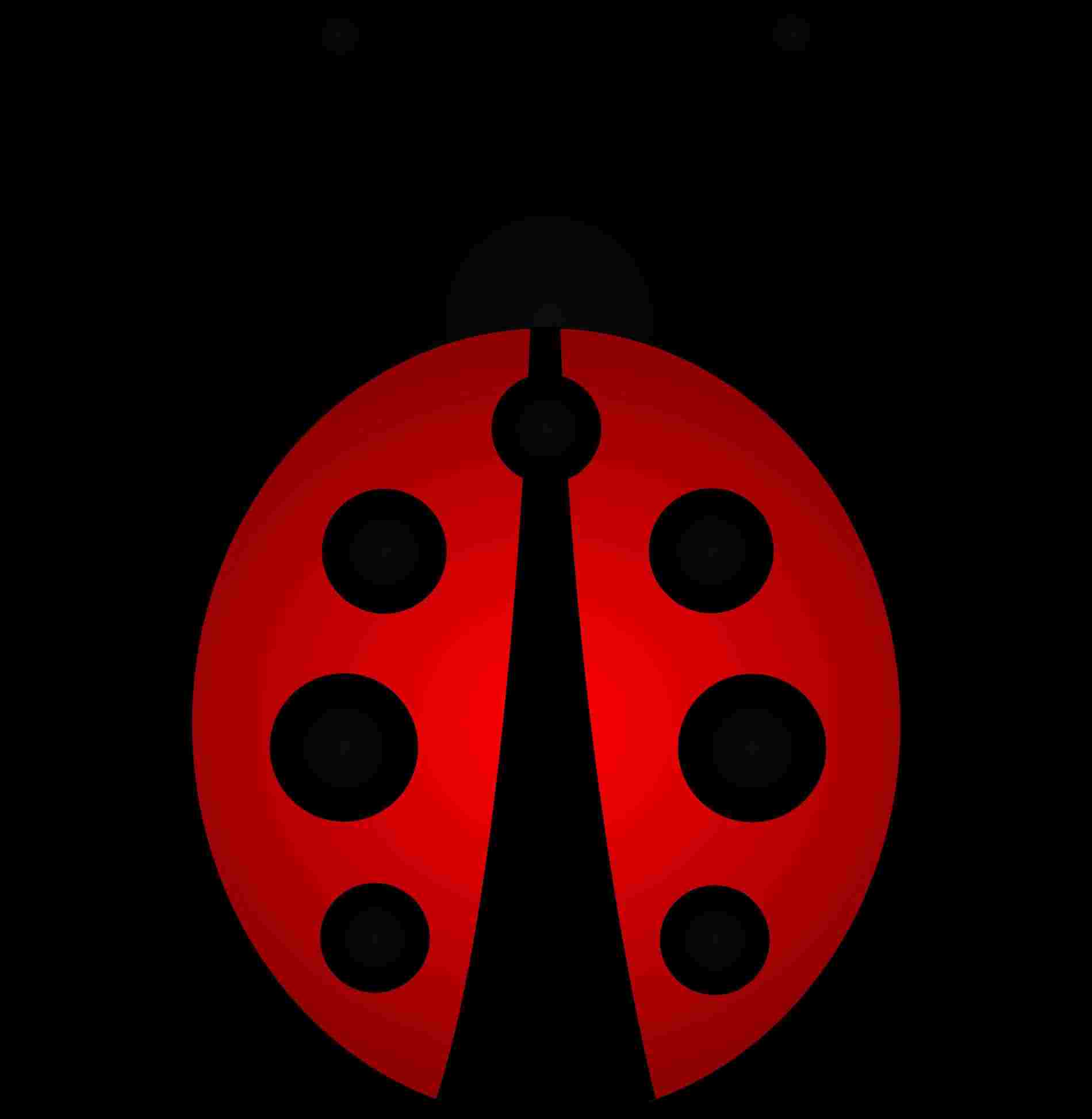 1899x1945 Easy Drawing - Easy Ladybug Drawing