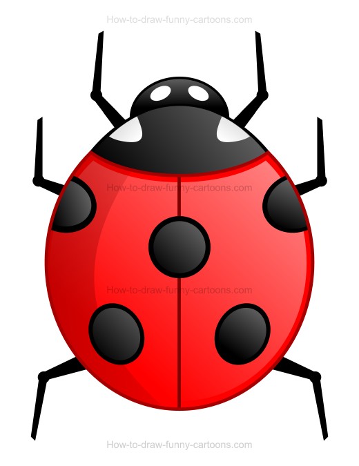 520x675 How To Draw A Cartoon Ladybug - Easy Ladybug Drawing