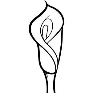 302x302 How To Draw How To Draw A Lily For Kids, Calla Lily - Easy Lily Drawing