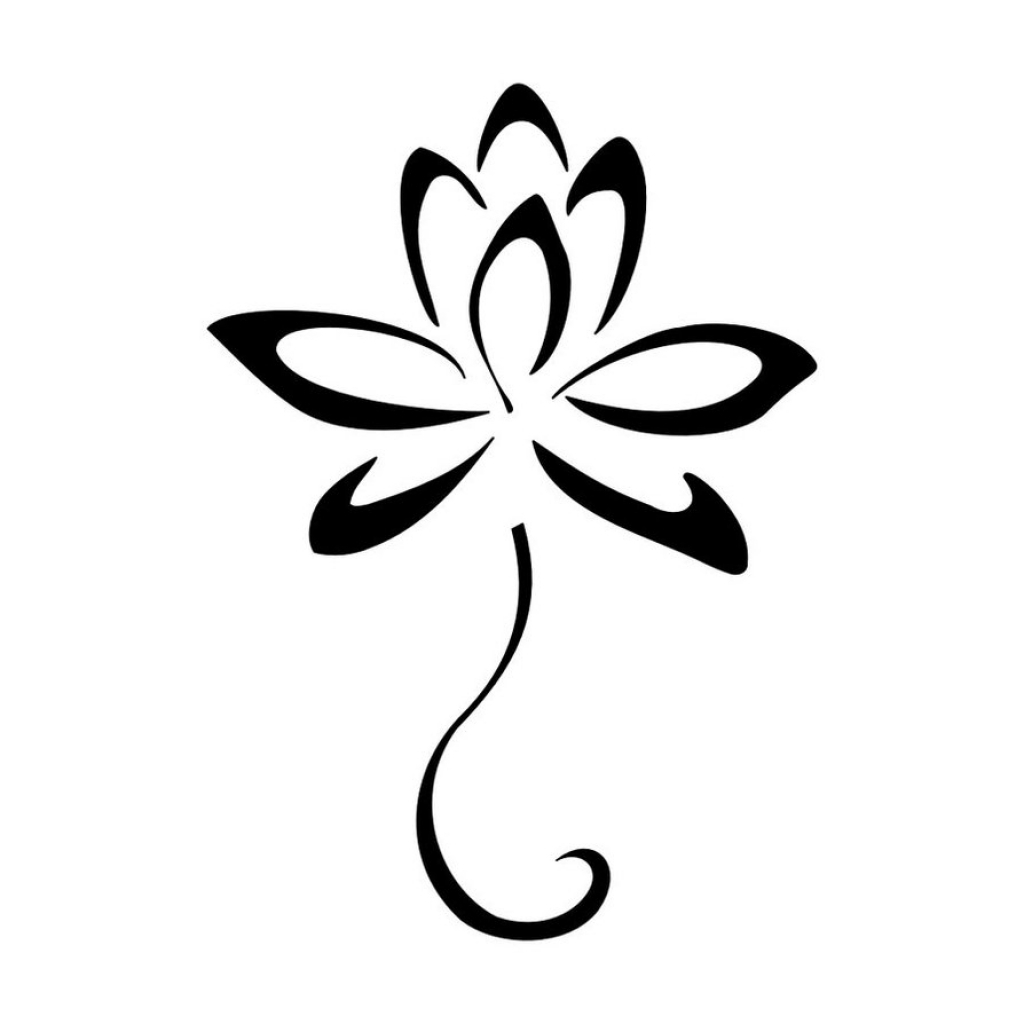 1024x1024 Huge Collection Of 'flower Drawing Lily' Download More Than - Easy Lily Drawing