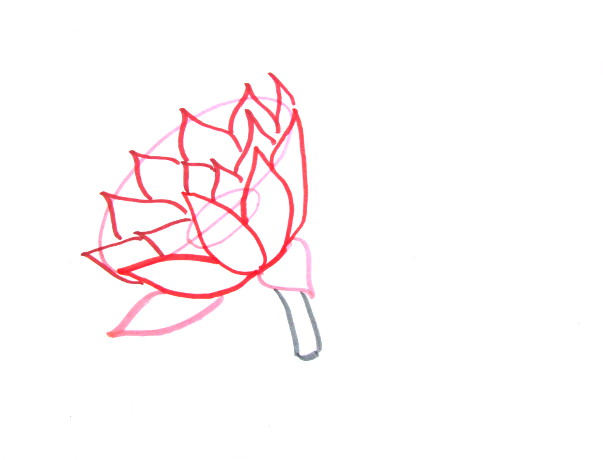 603x460 Watercolor Water Lilies Painting - Easy Lily Drawing