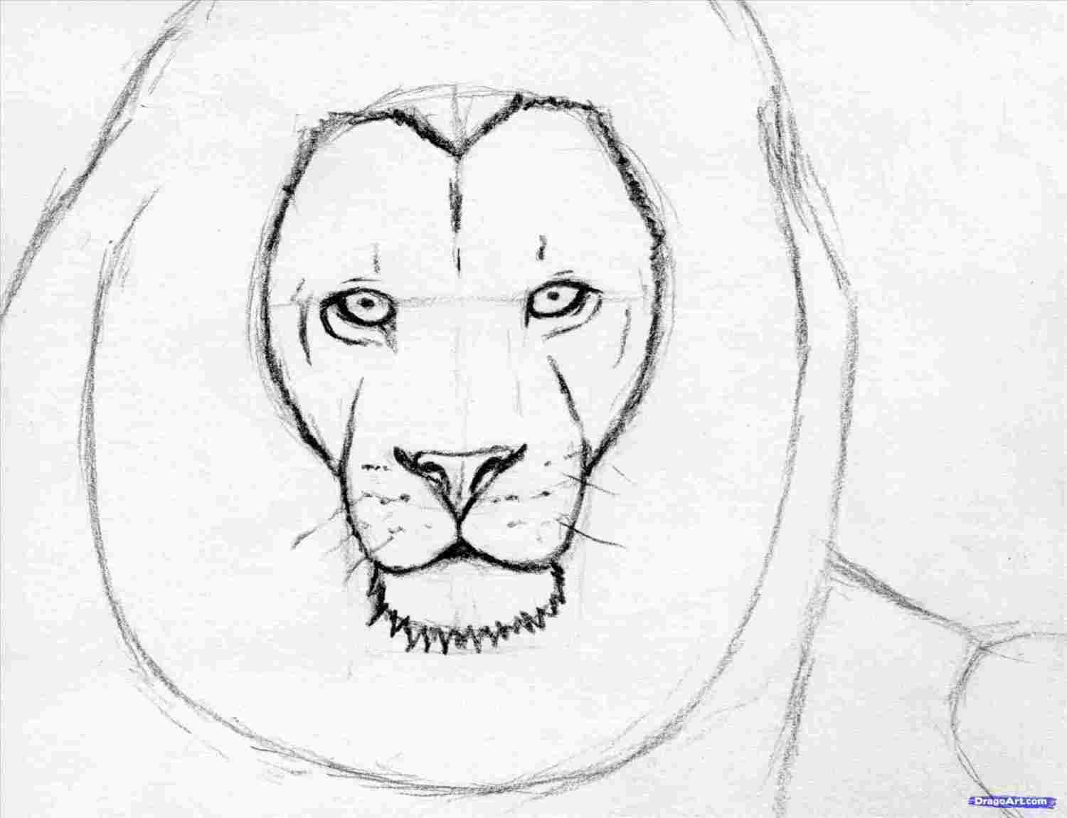 1500x1150 Easy Step - Easy Lion Drawing For Kids