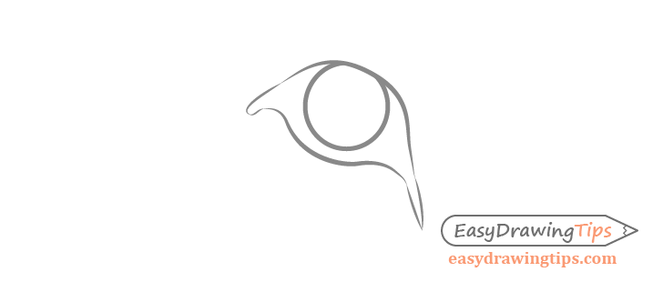 728x310 How To Draw Lion Face Head Step - Easy Lion Drawing Steps