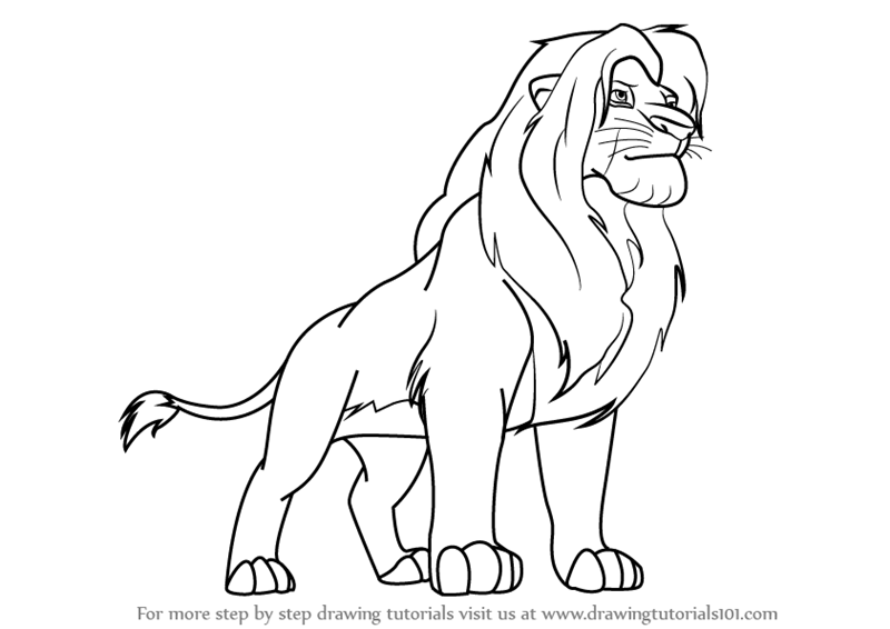800x566 Learn How To Draw Simba From The Lion King - Easy Lion Drawing Steps
