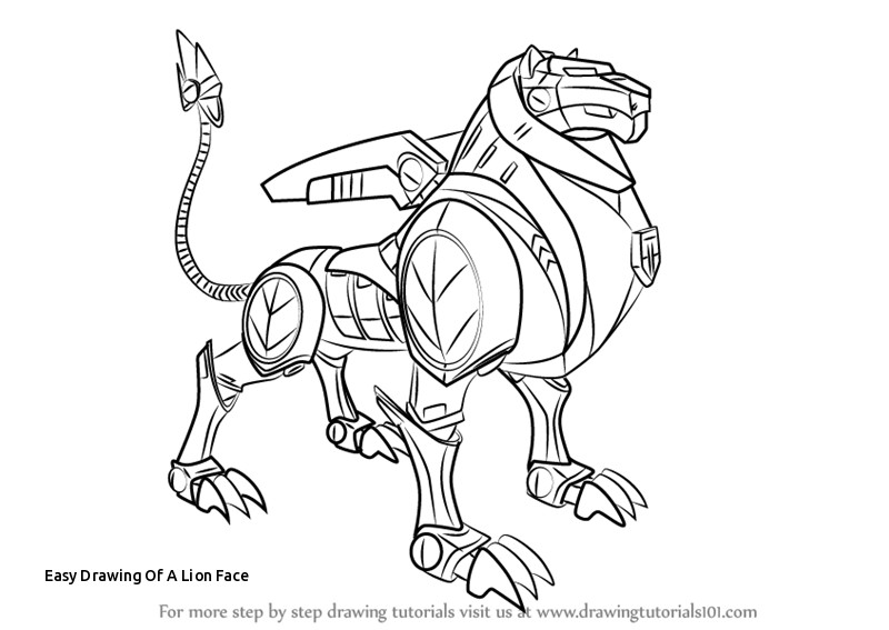 800x567 Easy Drawing Of A Lion Face Lion Black And White Drawing - Easy Lion Drawing Steps