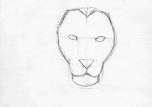 Easy Lion Face Drawing at PaintingValley.com | Explore collection of ...