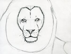 302x232 How To Sketch A Lion, Step - Easy Lion Face Drawing