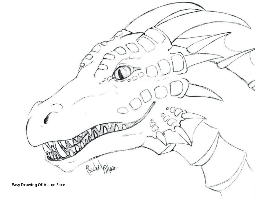 878x683 Easy Drawing Of A Lion Face Chinese Dragon Easy Drawing - Easy Lion Face Drawing