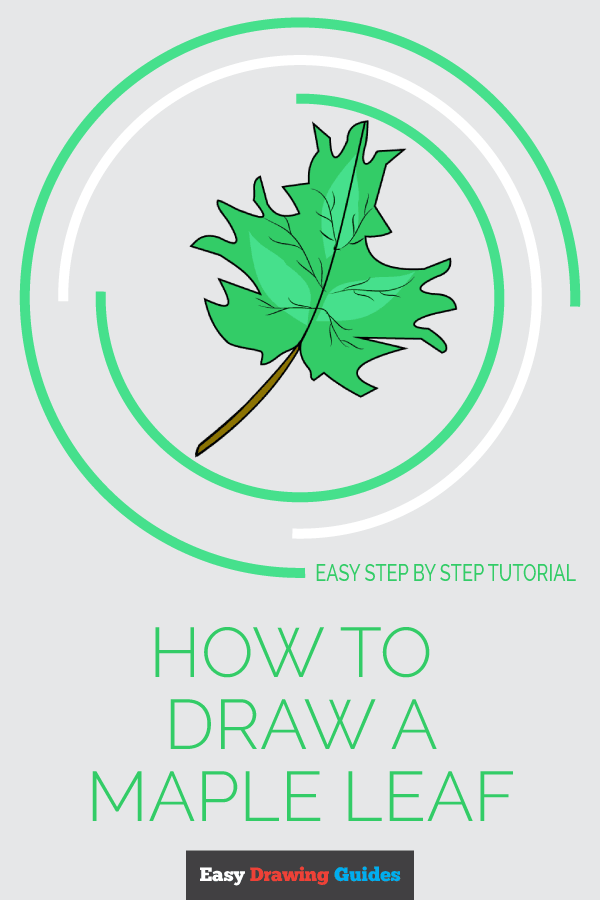 600x900 how to draw a maple leaf easy drawing guides - Easy Maple Leaf Drawing