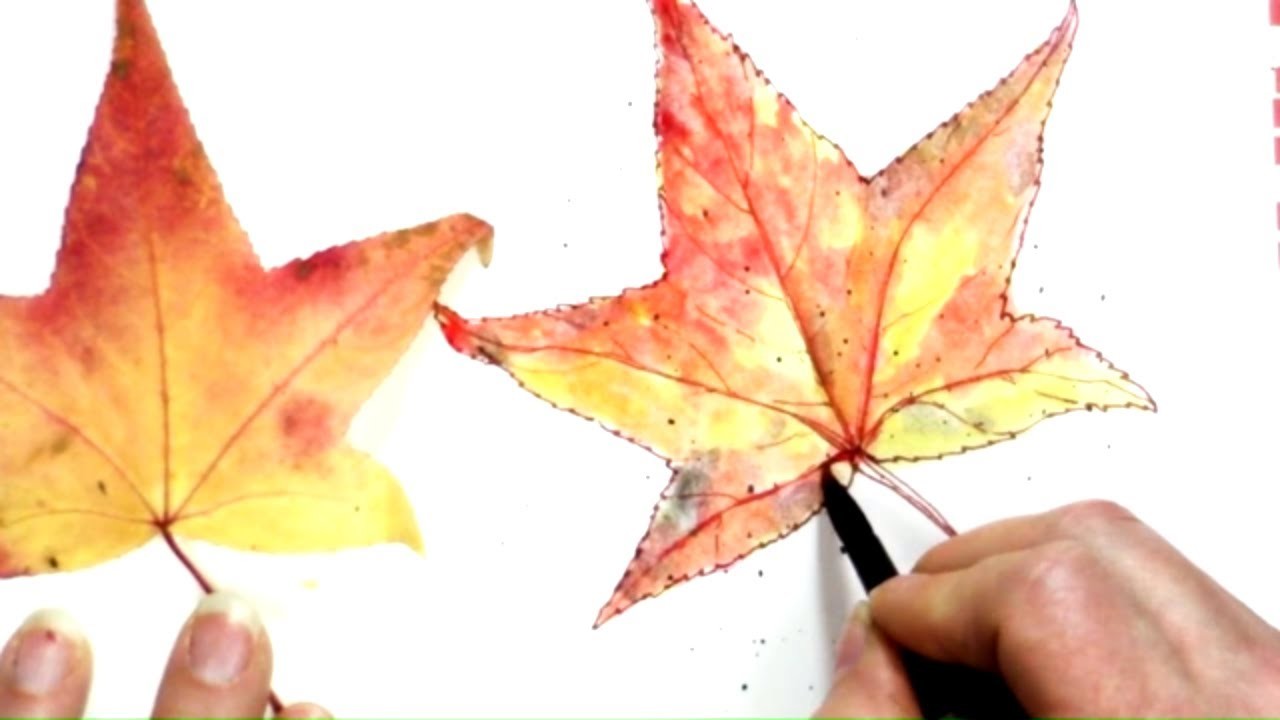 1280x720 quick easy inktense fall maple leaf! how to draw paint free lesson - Easy Maple Leaf Drawing