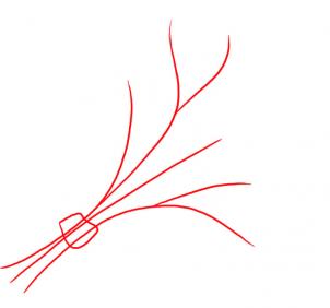 302x282 drawing printout how to draw mistletoe - Easy Mistletoe Drawing