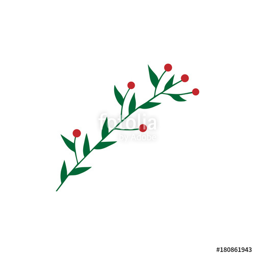 500x500 Hand Drawn Christmas Mistletoe Branch, Vector Illustration Drawing - Easy Mistletoe Drawing
