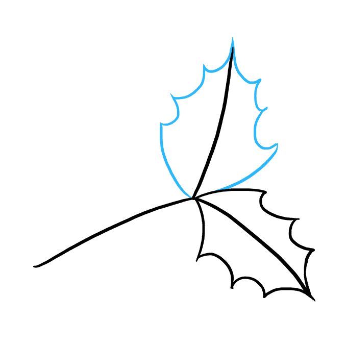 680x678 How To Draw Holly For Christmas - Easy Mistletoe Drawing