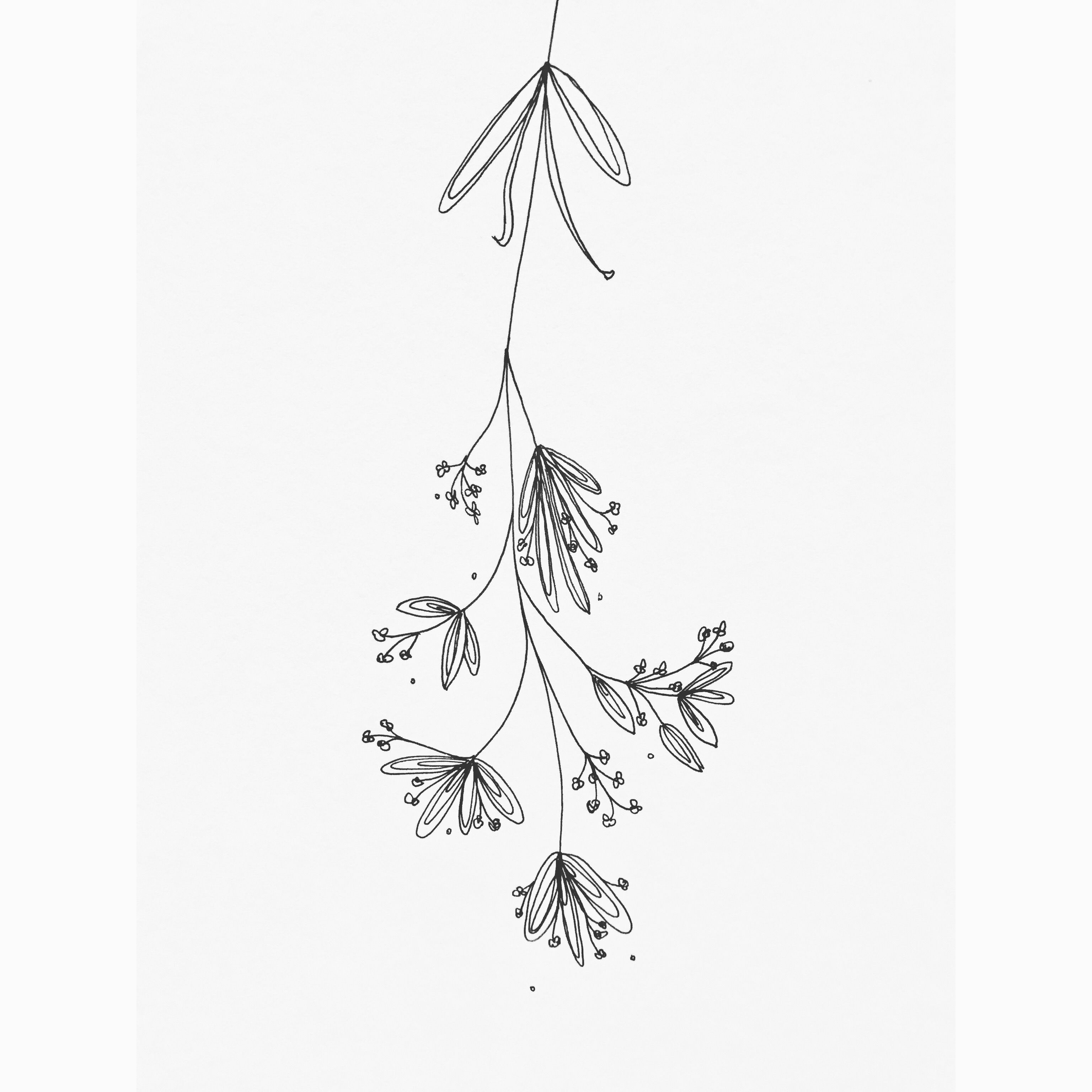 3072x3072 Mistletoe Christmas Inspiration Illustration Doodle Drawing - Easy Mistletoe Drawing