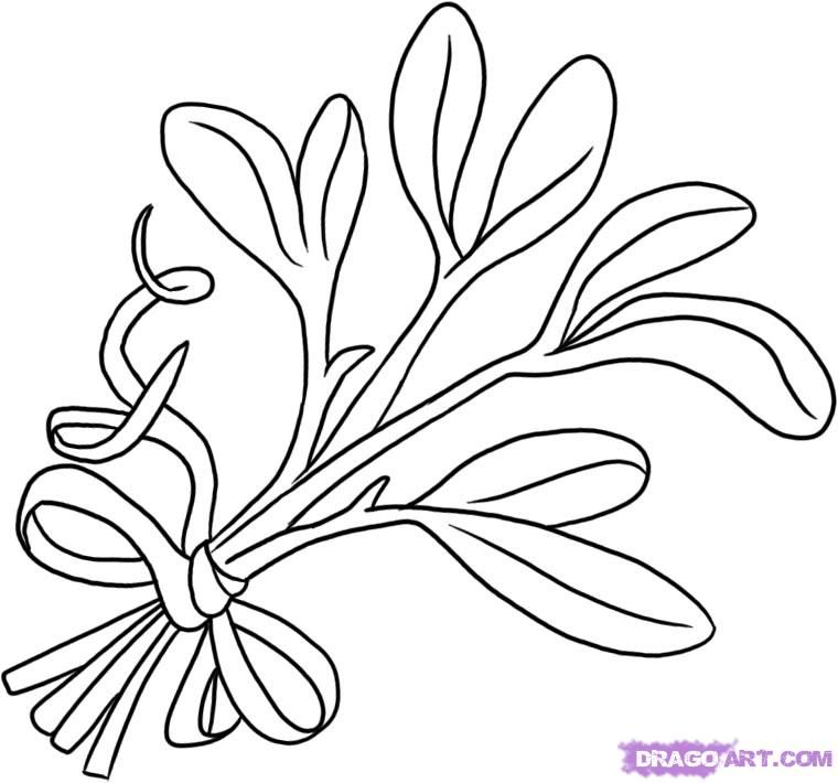 760x710 How To Draw Mistletoe Step - Easy Mistletoe Drawing