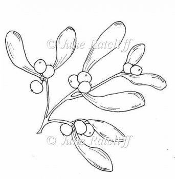 342x350 Mistletoe Drawing - Easy Mistletoe Drawing