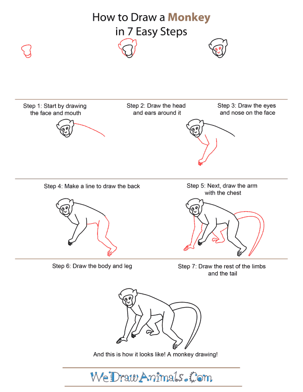 600x776 How To Draw A Monkey - Easy Monkey Drawing Step By Step