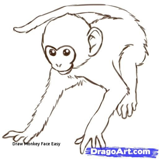 Easy Monkey Drawing Step By Step at Explore
