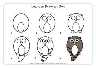 320x226 Learn To Draw Birds - Easy Owl Drawing Step By Step