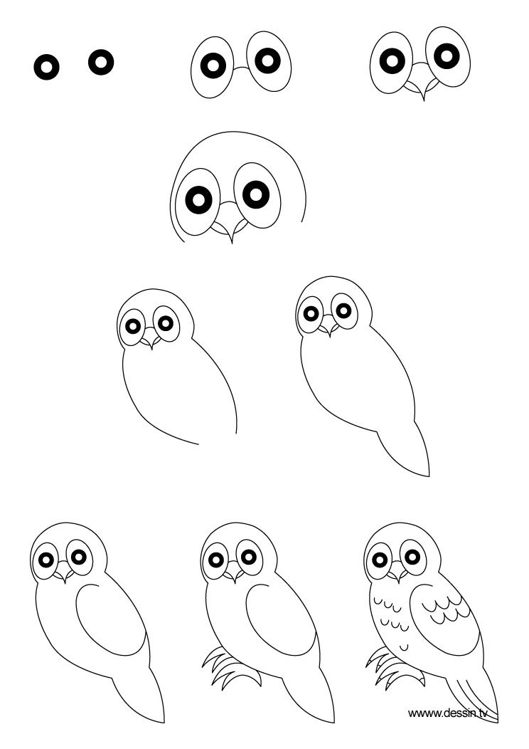 744x1052 Steps To Draw A Parrot Learn How To Draw A Owl With Simple Step - Easy Owl Drawing Step By Step
