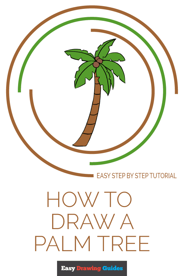 600x900 How To Draw A Palm Tree - Easy Palm Tree Drawing