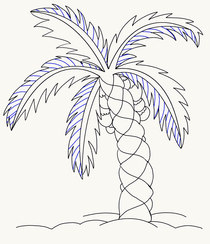 680x790 How To Draw A Palm Tree Easy Drawing Guides - Easy Palm Tree Drawing