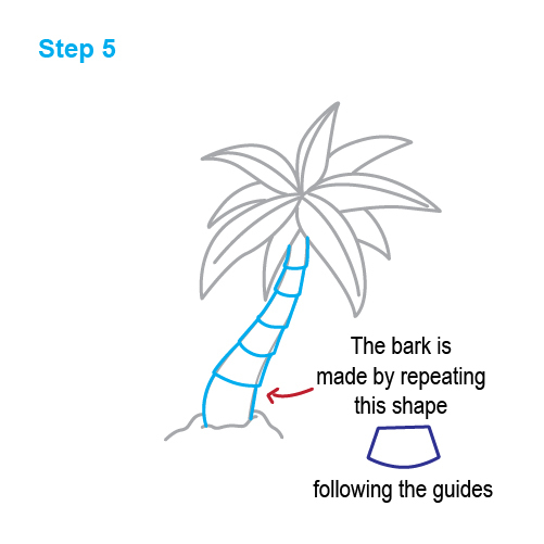 501x501 How To Draw How To Draw A Palm Tree - Easy Palm Tree Drawing