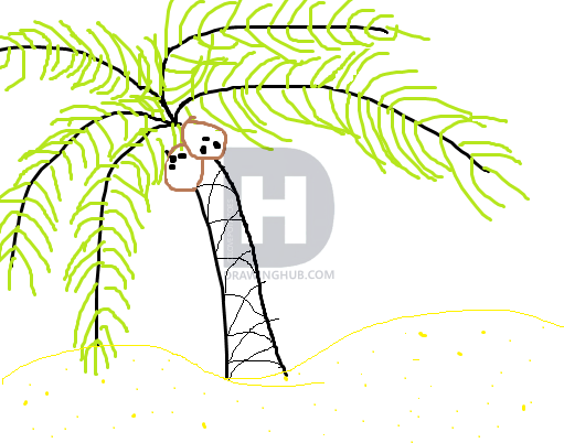 511x402 How To Draw A Palm Tree Easy, Step - Easy Palm Tree Drawing