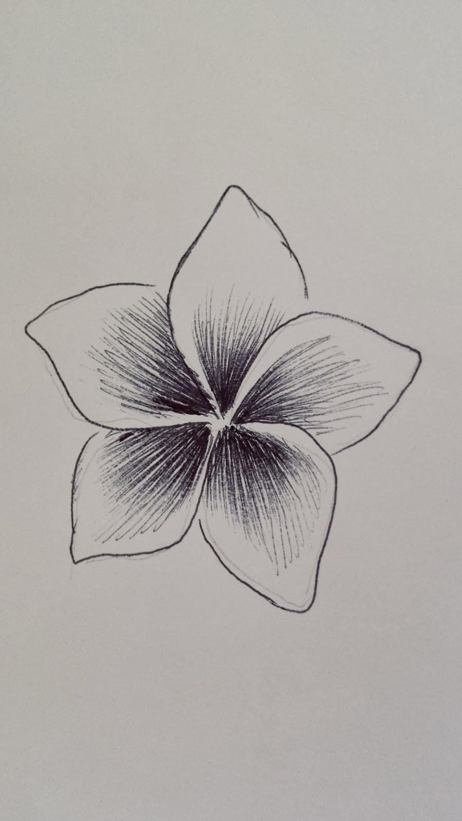 Simple Pen Drawing Flowers Flowers Healthy