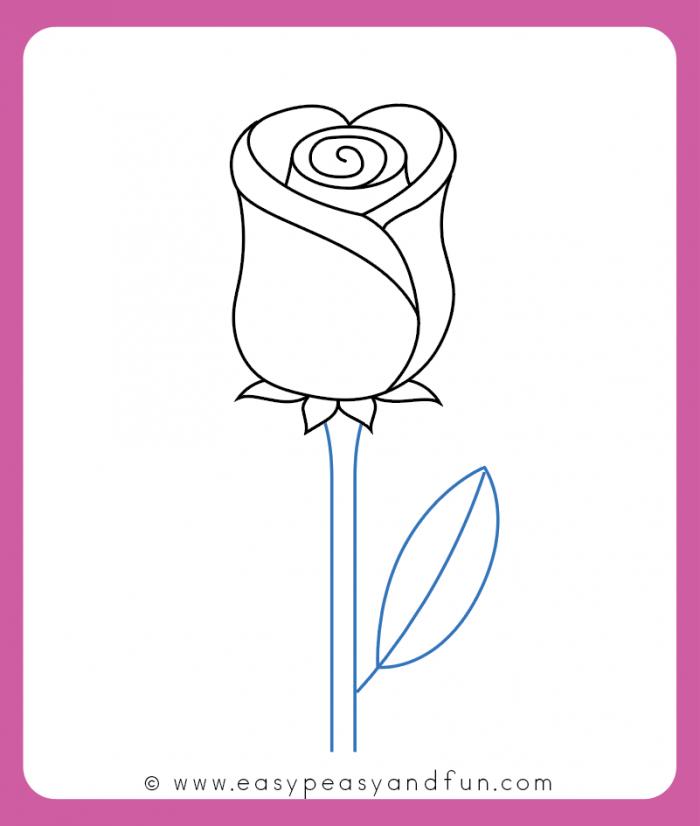 700x826 How To Draw A Rose - Easy Pics Drawing