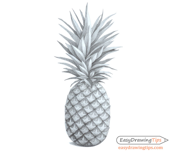 728x640 How To Draw A Realistic Pineapple Step - Easy Pineapple Drawing