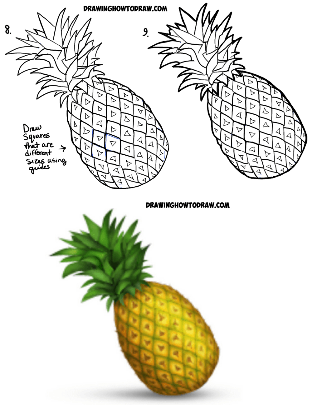 Pineapple Drawing Easy Step By Step