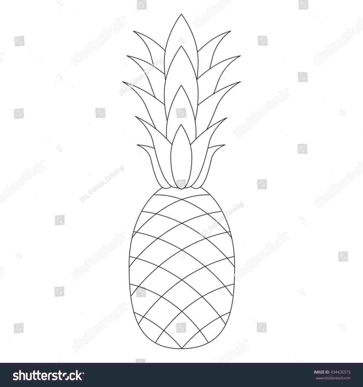 1185x1264 Easy Drawing Pineapple - Easy Pineapple Drawing