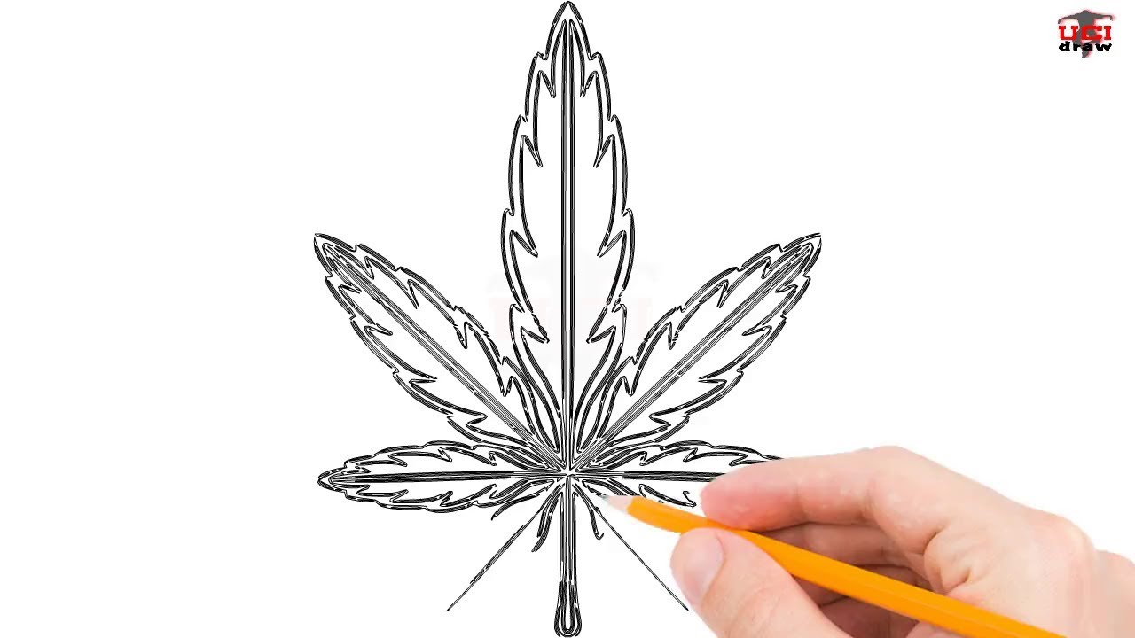 1280x720 How To Draw A Weed Leaf Step - Easy Pot Leaf Drawing