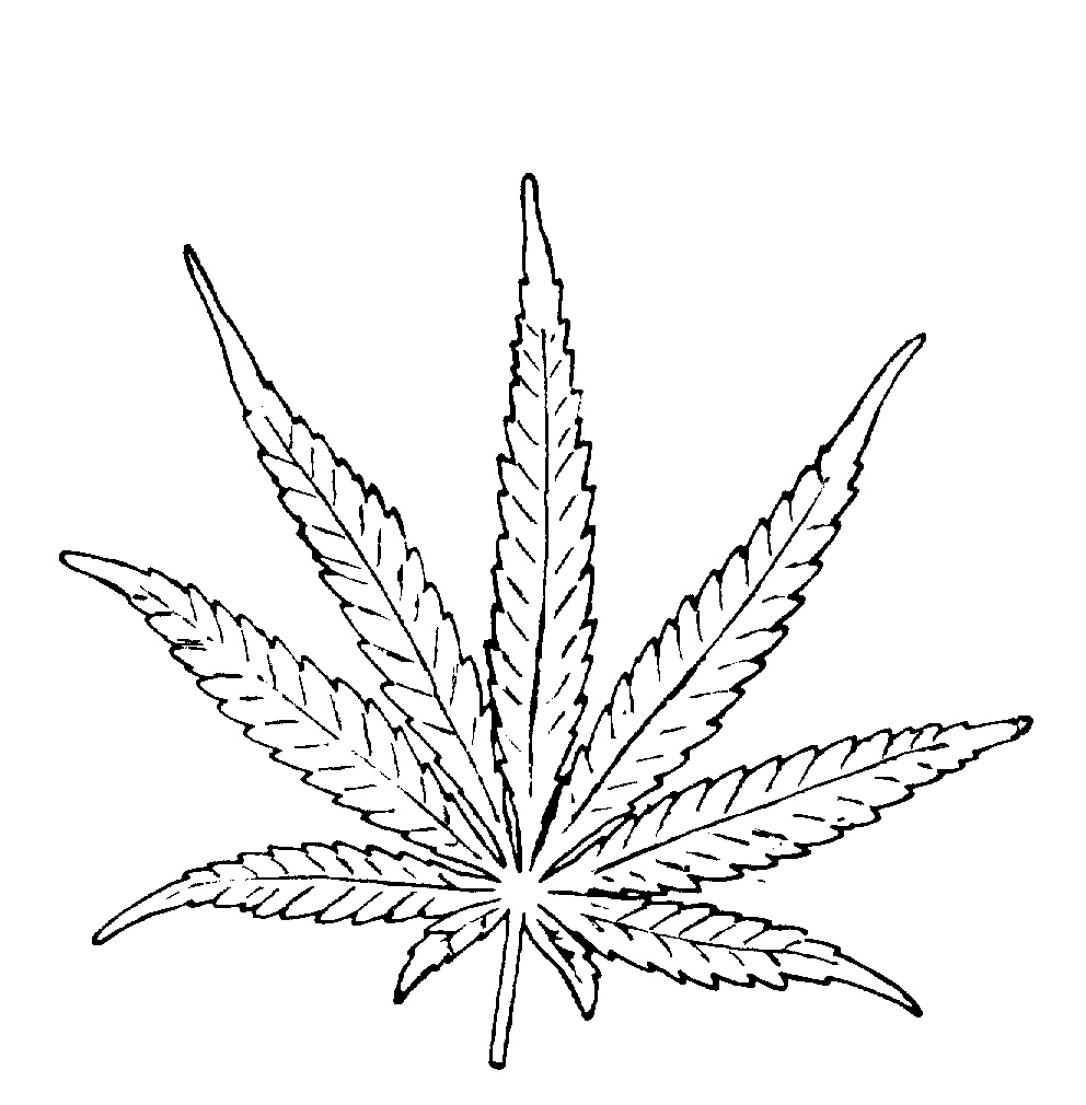 992x1010 Collection Of Free Weed Clipart Easy Sales Clipart Download - Easy Pot Leaf Drawing