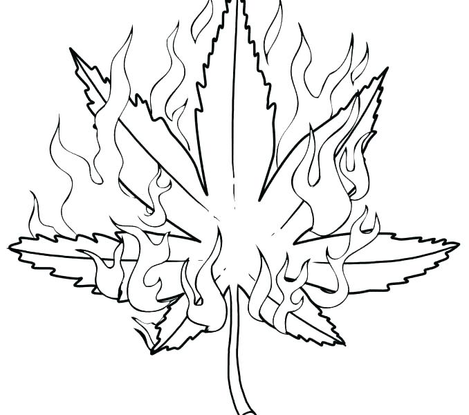 678x600 Draw Coloring Pages Pot Leaf Coloring Pages Draw Download Down - Easy Pot Leaf Drawing